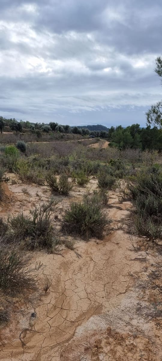 Finca/Country House for sale in Caseres - € 5,000 (Ref: 9498031)