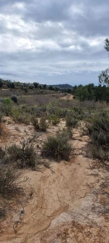 Quinta/Casa Rural para venda em Caseres - 5 000 € (Ref: 9498031)