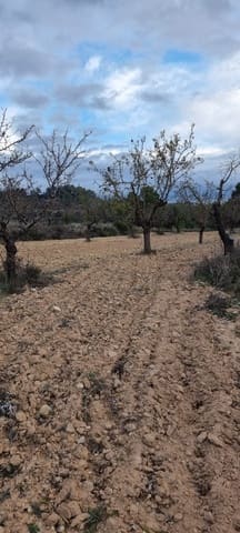 Quinta/Casa Rural para venda em Caseres - 5 000 € (Ref: 9498031)