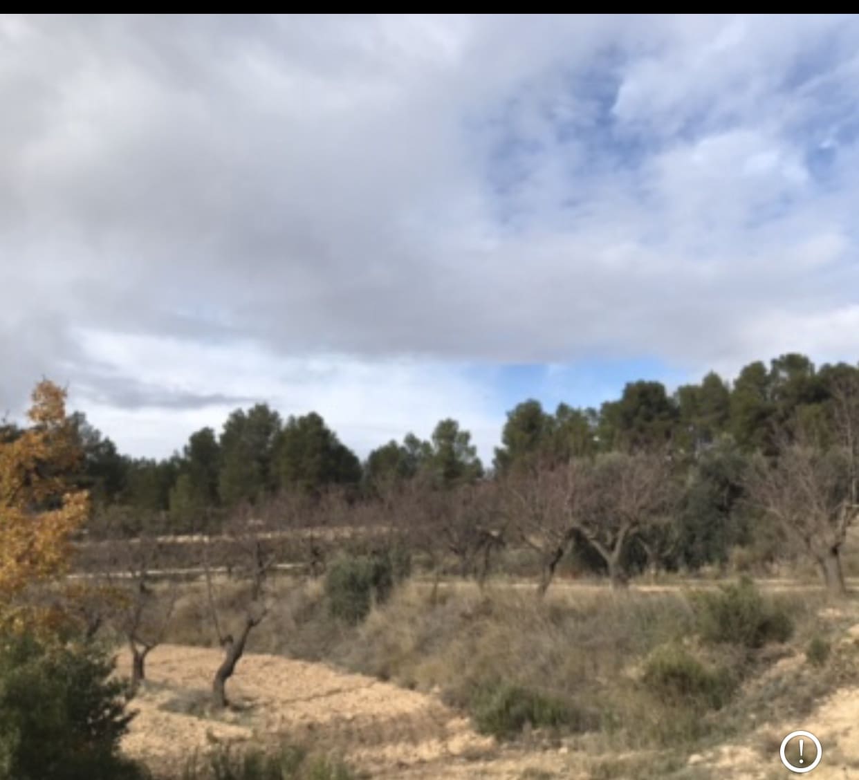 Finca/Country House for sale in Caseres - € 5,000 (Ref: 9498031)