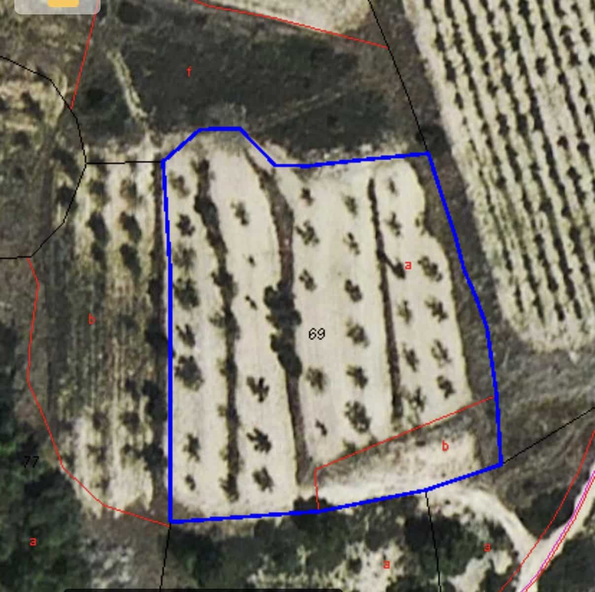 Finca/Country House for sale in Caseres - € 5,000 (Ref: 9498031)