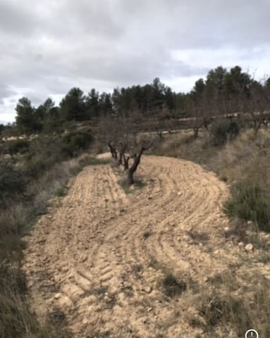 Quinta/Casa Rural para venda em Caseres - 5 000 € (Ref: 9498031)