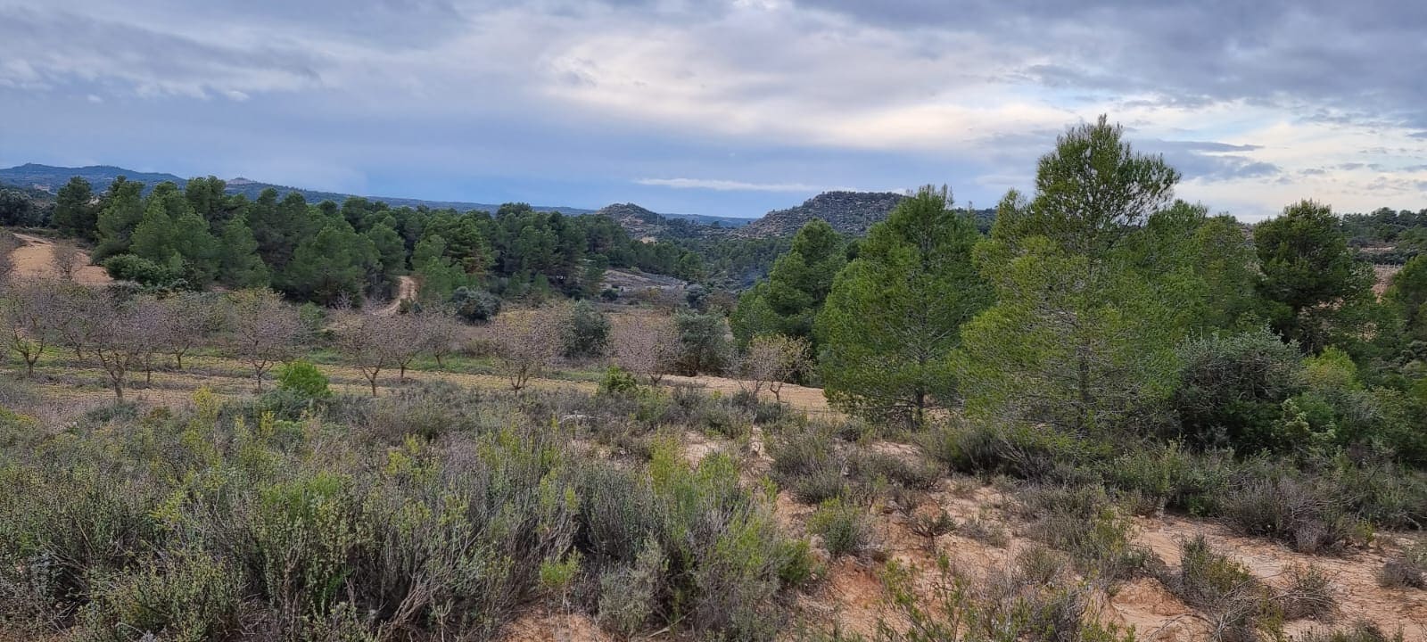 Finca/Country House for sale in Caseres - € 5,000 (Ref: 9498031)