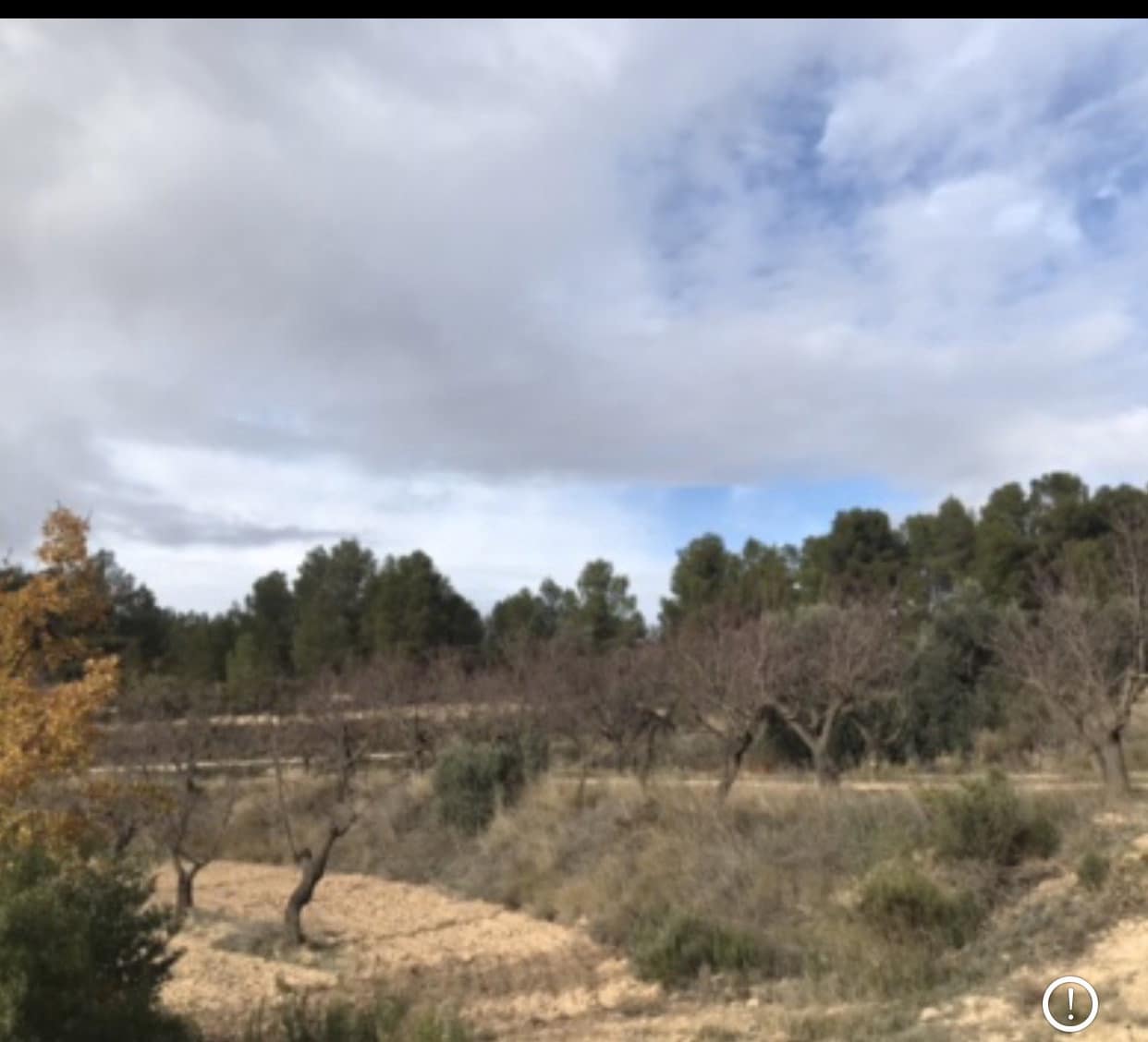 Finca/Country House for sale in Caseres - € 5,000 (Ref: 9498031)