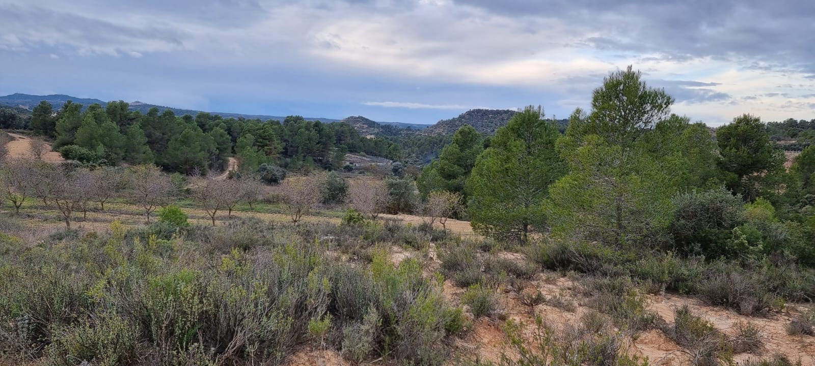 Finca/Country House for sale in Caseres - € 5,000 (Ref: 9498031)