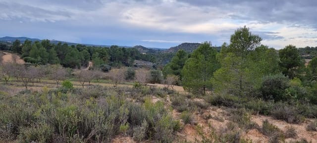 Finca/Landhuis te koop in Caseres - € 5.000 (Ref: 9498031)