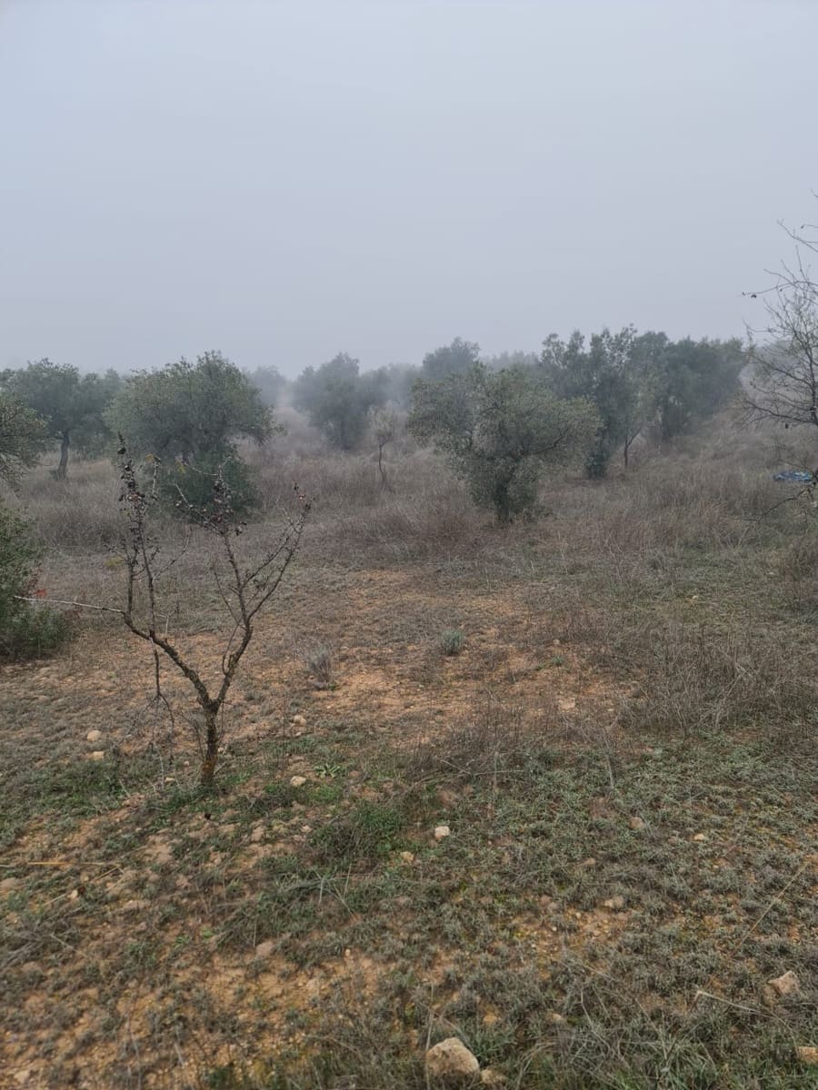 1 quarto Quinta/Casa Rural para venda em Bovera - 16 000 € (Ref: 9499568)