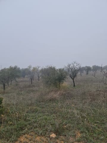 1 quarto Quinta/Casa Rural para venda em Bovera - 16 000 € (Ref: 9499568)