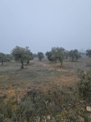 1 quarto Quinta/Casa Rural para venda em Bovera - 16 000 € (Ref: 9499568)