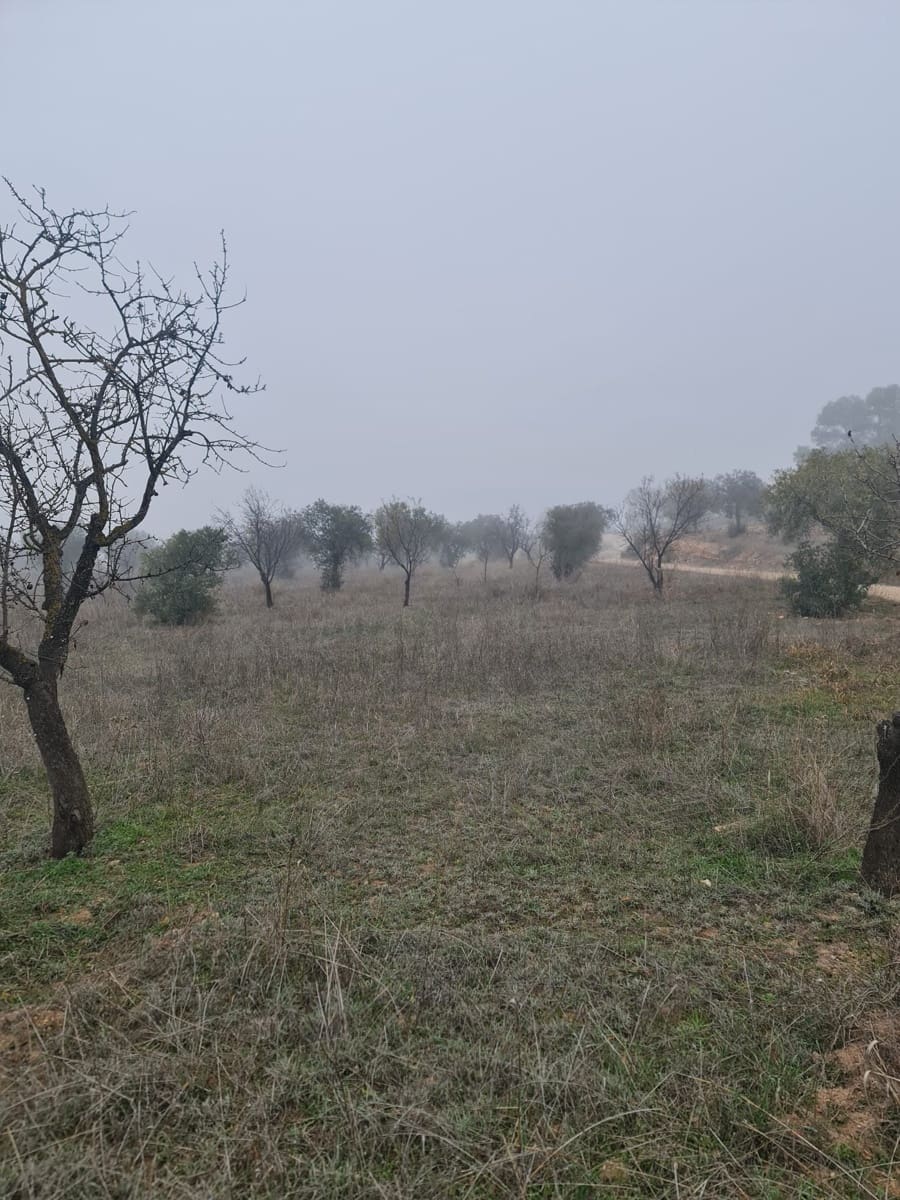 1 quarto Quinta/Casa Rural para venda em Bovera - 16 000 € (Ref: 9499568)