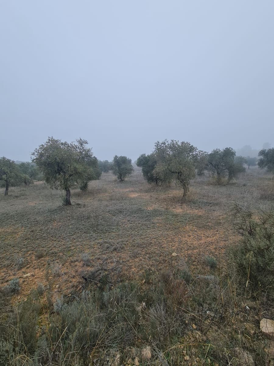 1 bedroom Finca/Country House for sale in Bovera - € 16,000 (Ref: 9499568)