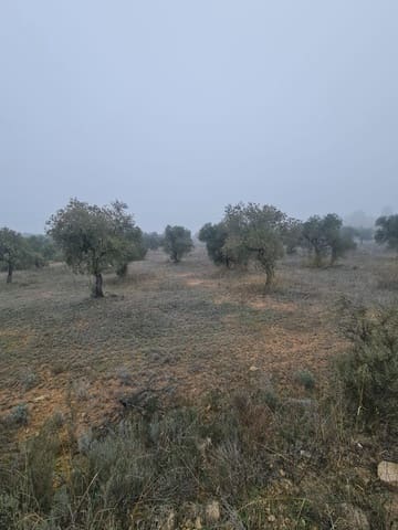 1 soveværelse Finca/Landehus til salg i Bovera - € 16.000 (Ref: 9499568)