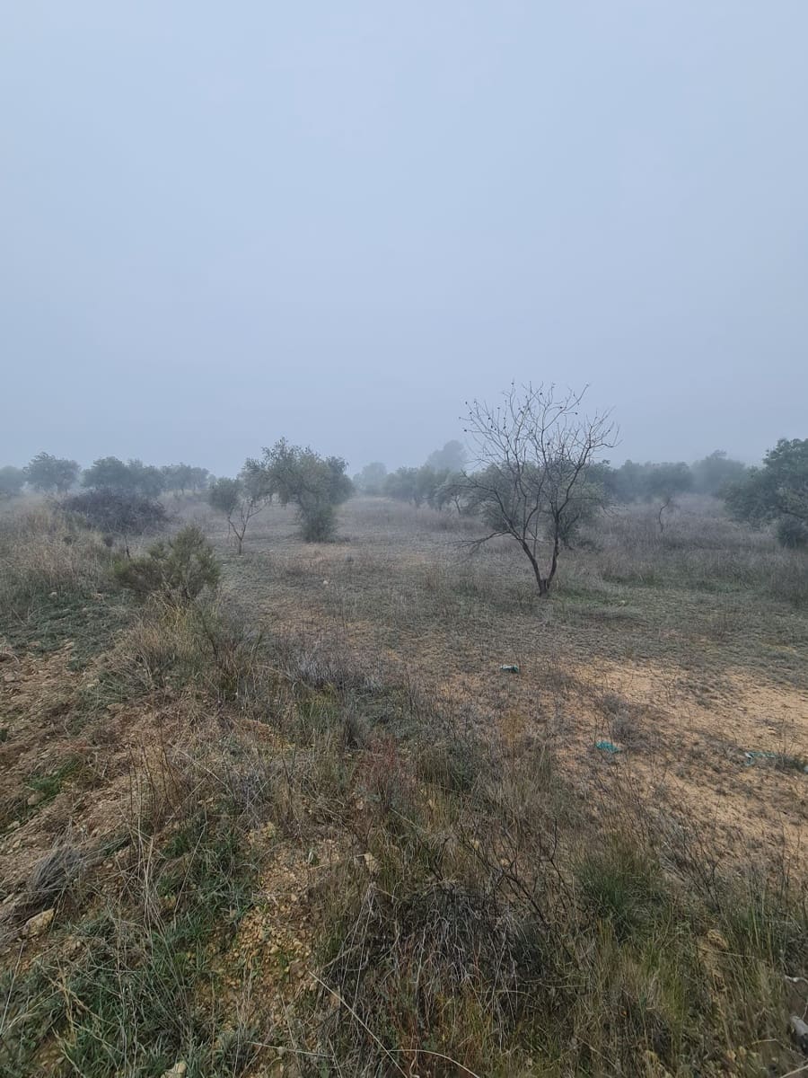 1 bedroom Finca/Country House for sale in Bovera - € 16,000 (Ref: 9499568)