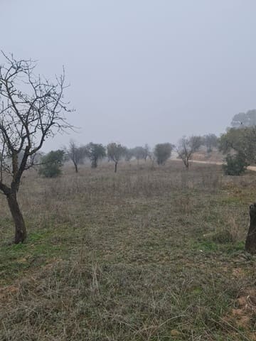 1 soveværelse Finca/Landehus til salg i Bovera - € 16.000 (Ref: 9499568)