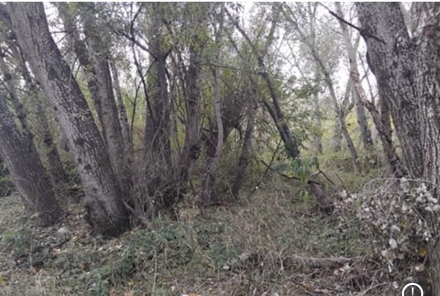 Finca/Landehus til salg i Garcia - € 12.000 (Ref: 9503642)