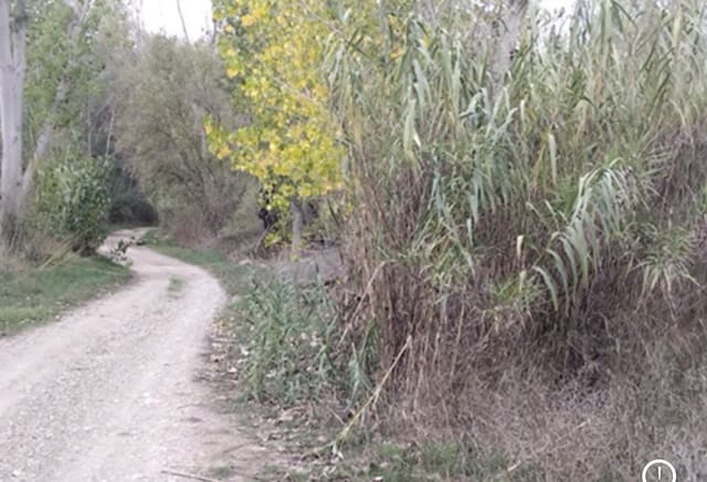 Finca/Landehus til salg i Garcia - € 12.000 (Ref: 9503642)