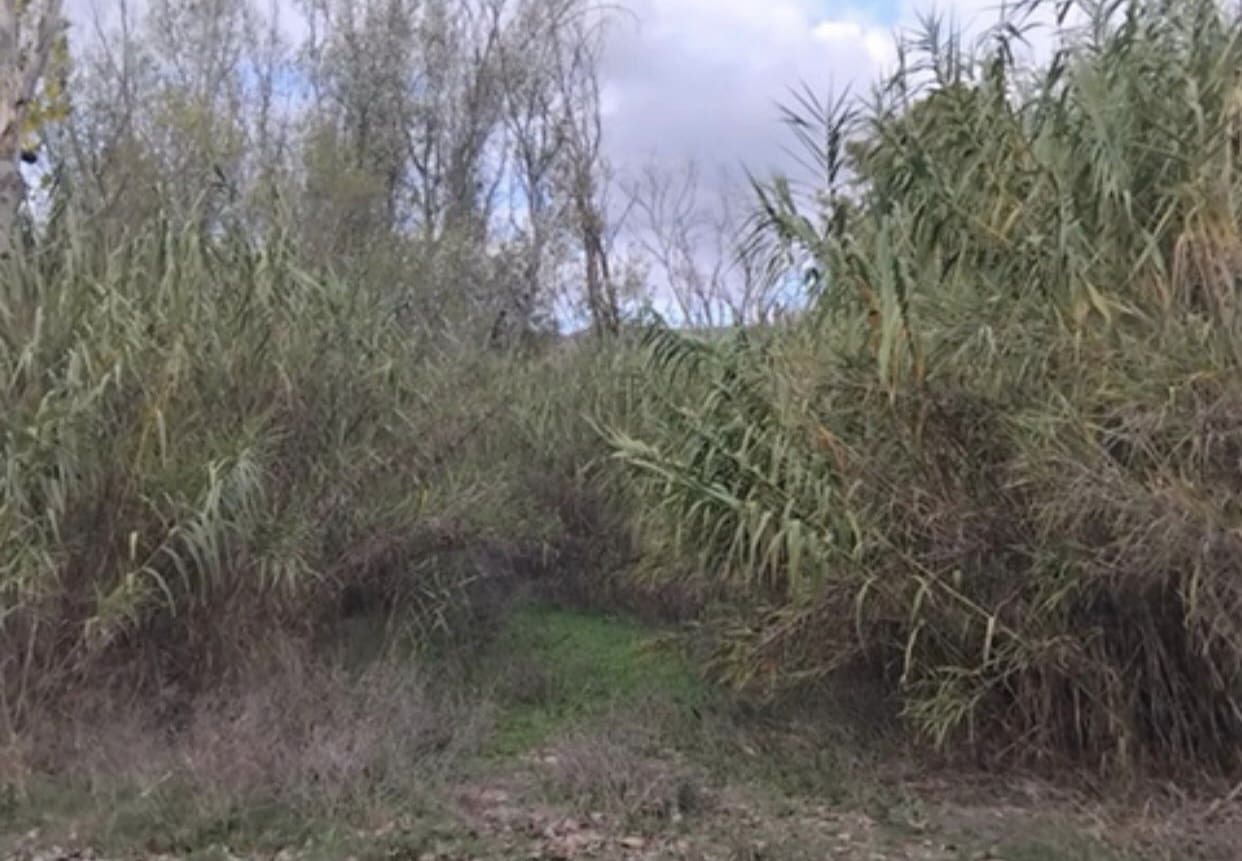 Finca/Country House for sale in Garcia - € 12,000 (Ref: 9503642)