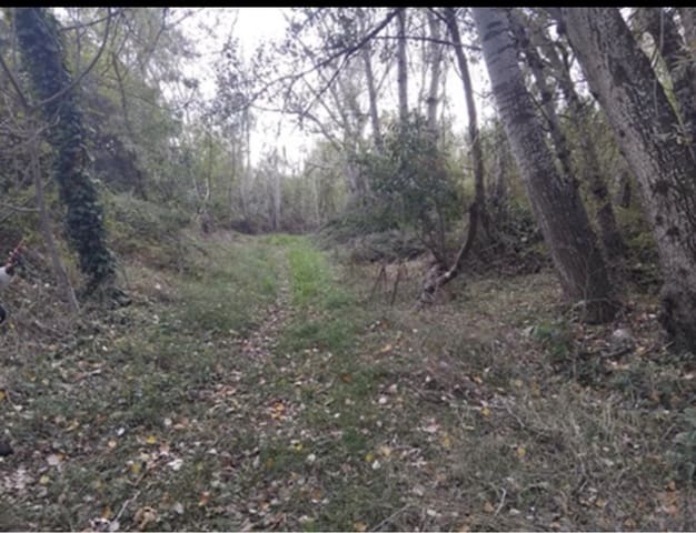 Finca/Landehus til salg i Garcia - € 12.000 (Ref: 9503642)