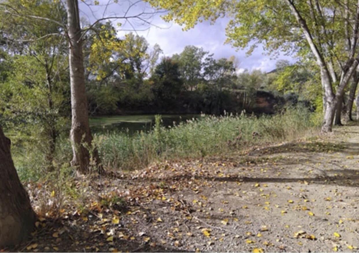 Finca/Country House for sale in Garcia - € 12,000 (Ref: 9503642)