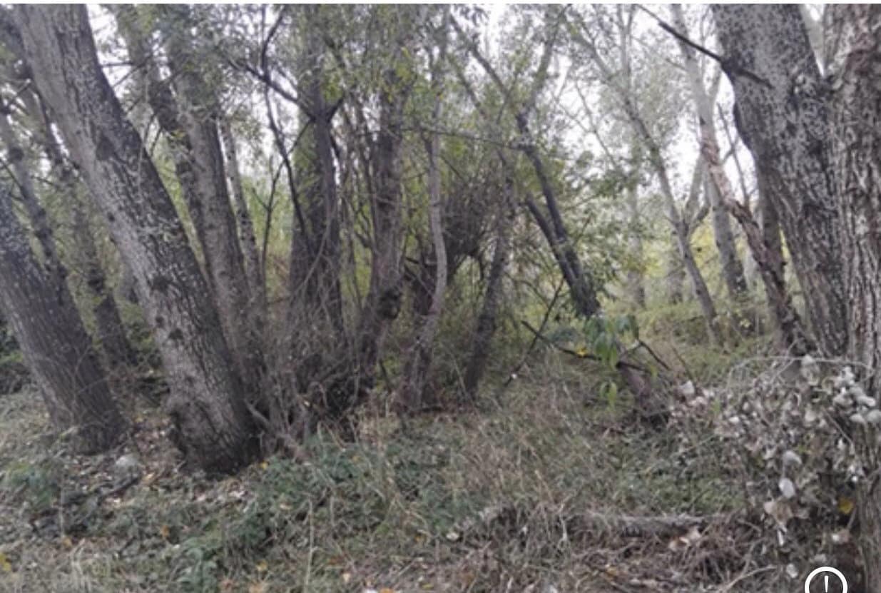 Finca/Casa di Campagna in vendita in Garcia - 12.000 € (Rif: 9503642)