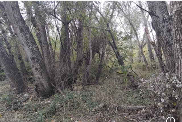 Finca/Landehus til salg i Garcia - € 12.000 (Ref: 9503642)