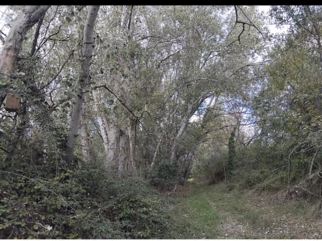 Finca/Landehus til salg i Garcia - € 12.000 (Ref: 9503642)