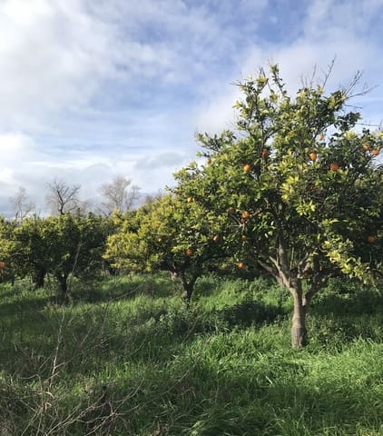 Finca/Herregård til salgs i Bitem, Tortosa - € 38 000 (Ref: 9529400)