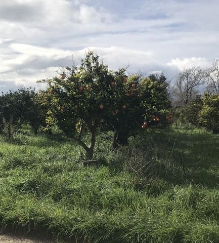 Finca/Herregård til salgs i Bitem, Tortosa - € 38 000 (Ref: 9529400)