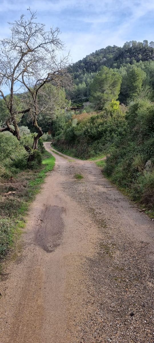 Finca/Herregård til salgs i Benifallet - € 10 000 (Ref: 9532420)