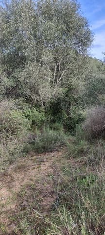 Finca/Herregård til salgs i Benifallet - € 10 000 (Ref: 9532420)