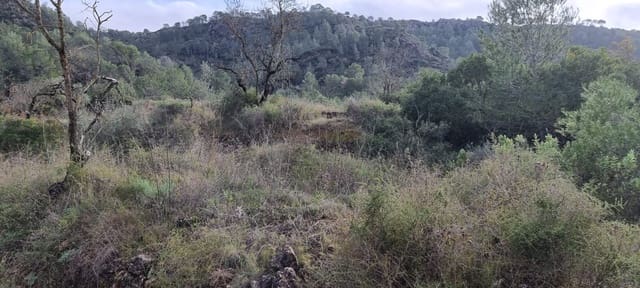 Finca/Herregård til salgs i Benifallet - € 10 000 (Ref: 9532420)