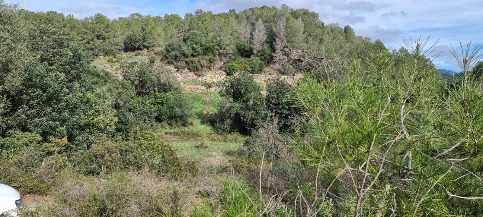 Finca/Herregård til salgs i Benifallet - € 10 000 (Ref: 9532420)