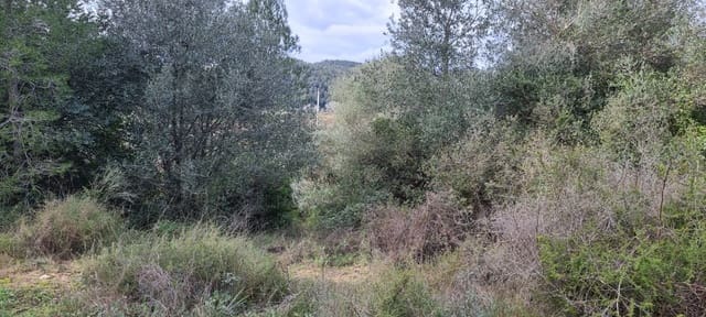 Finca/Herregård til salgs i Benifallet - € 10 000 (Ref: 9532420)