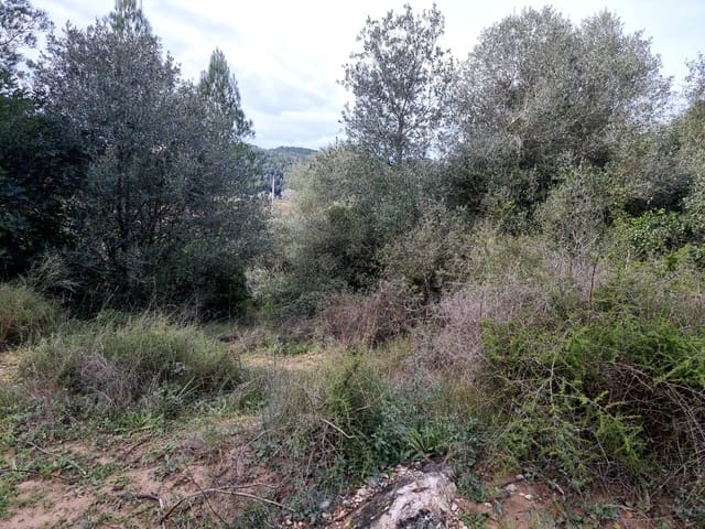 Finca/Herregård til salgs i Benifallet - € 10 000 (Ref: 9532420)