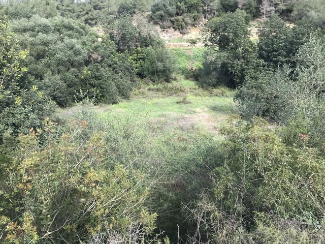 Finca/Herregård til salgs i Benifallet - € 10 000 (Ref: 9532420)