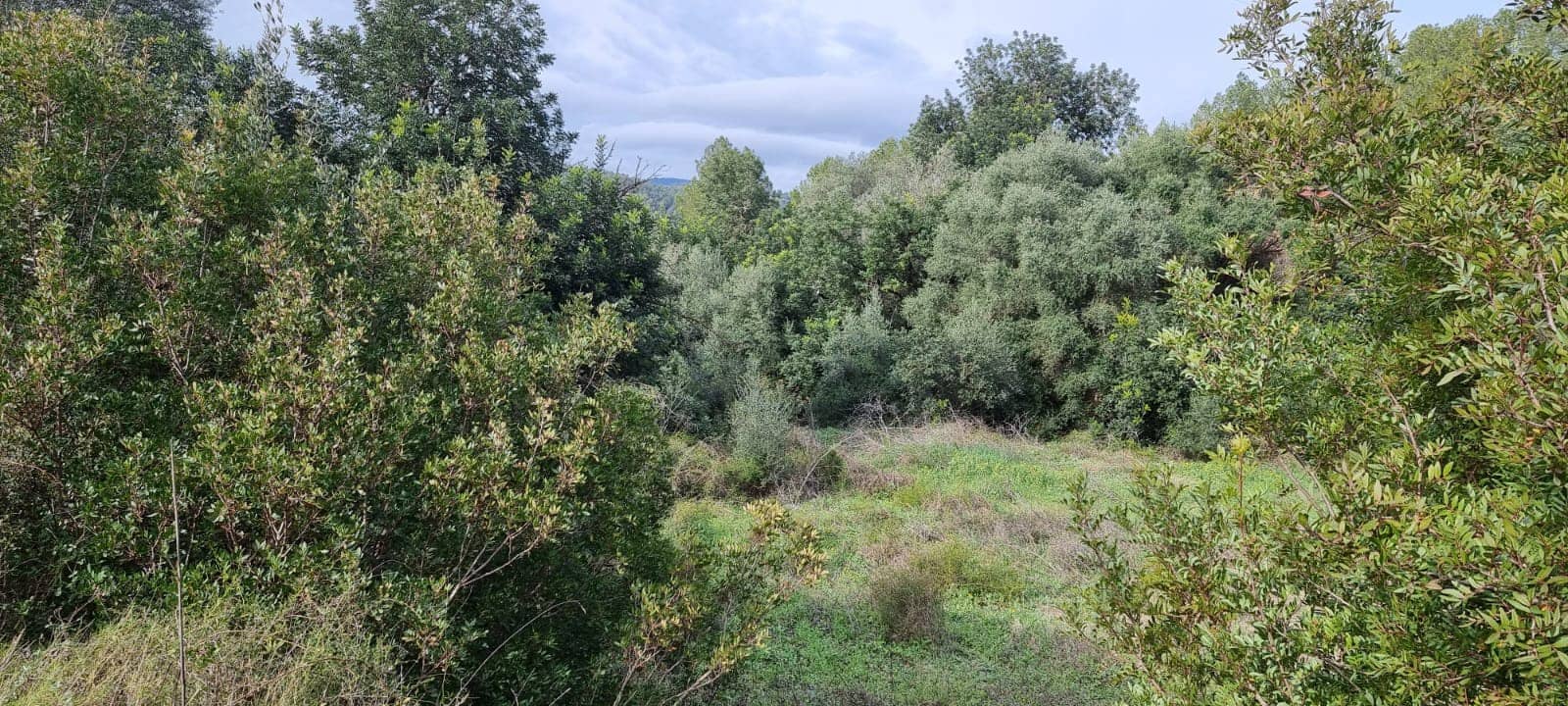 Finca/Country House for sale in Benifallet - € 10,000 (Ref: 9532420)