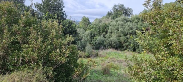 Finca/Herregård til salgs i Benifallet - € 10 000 (Ref: 9532420)