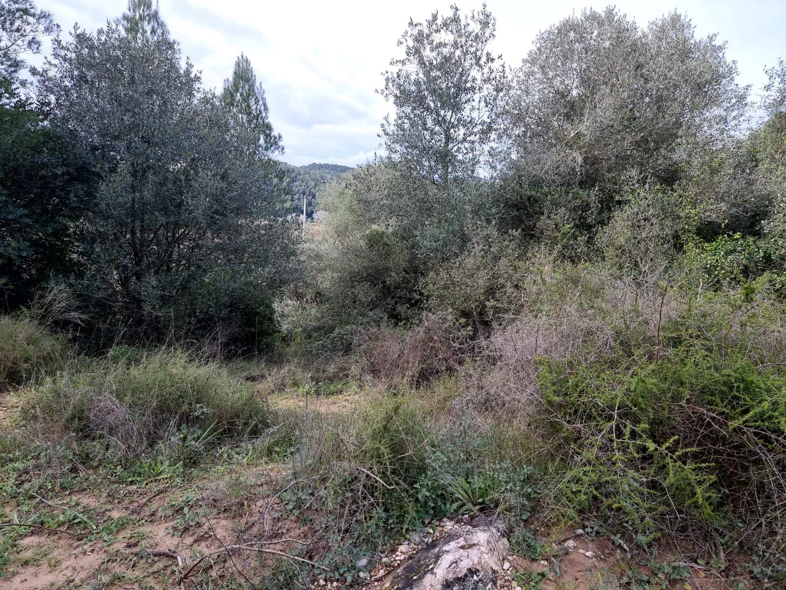 Finca/Country House for sale in Benifallet - € 10,000 (Ref: 9532420)