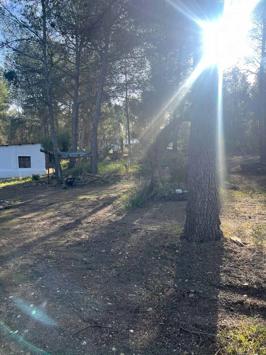 1 chambre Finca/Maison de Campagne à vendre à Ginestar - 45 000 € (Ref: 9536576)