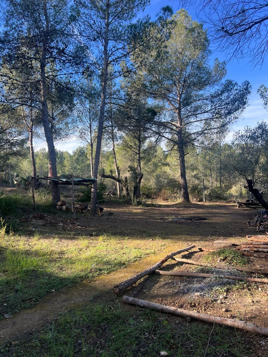 1 chambre Finca/Maison de Campagne à vendre à Ginestar - 45 000 € (Ref: 9536576)