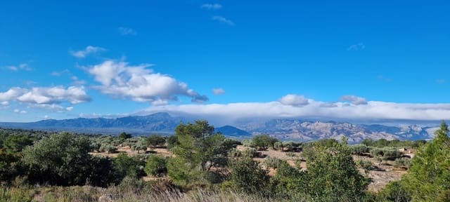 Quinta/Casa Rural para venda em Tivenys - 18 000 € (Ref: 9578198)