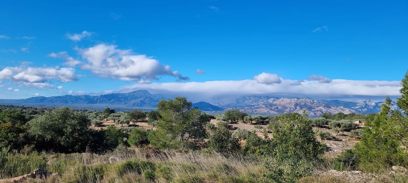 Finca/Maison de Campagne à vendre à Tivenys - 18 000 € (Ref: 9578198)