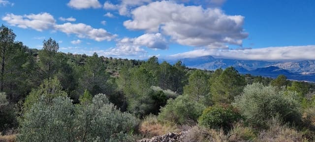 Quinta/Casa Rural para venda em Tivenys - 18 000 € (Ref: 9578198)