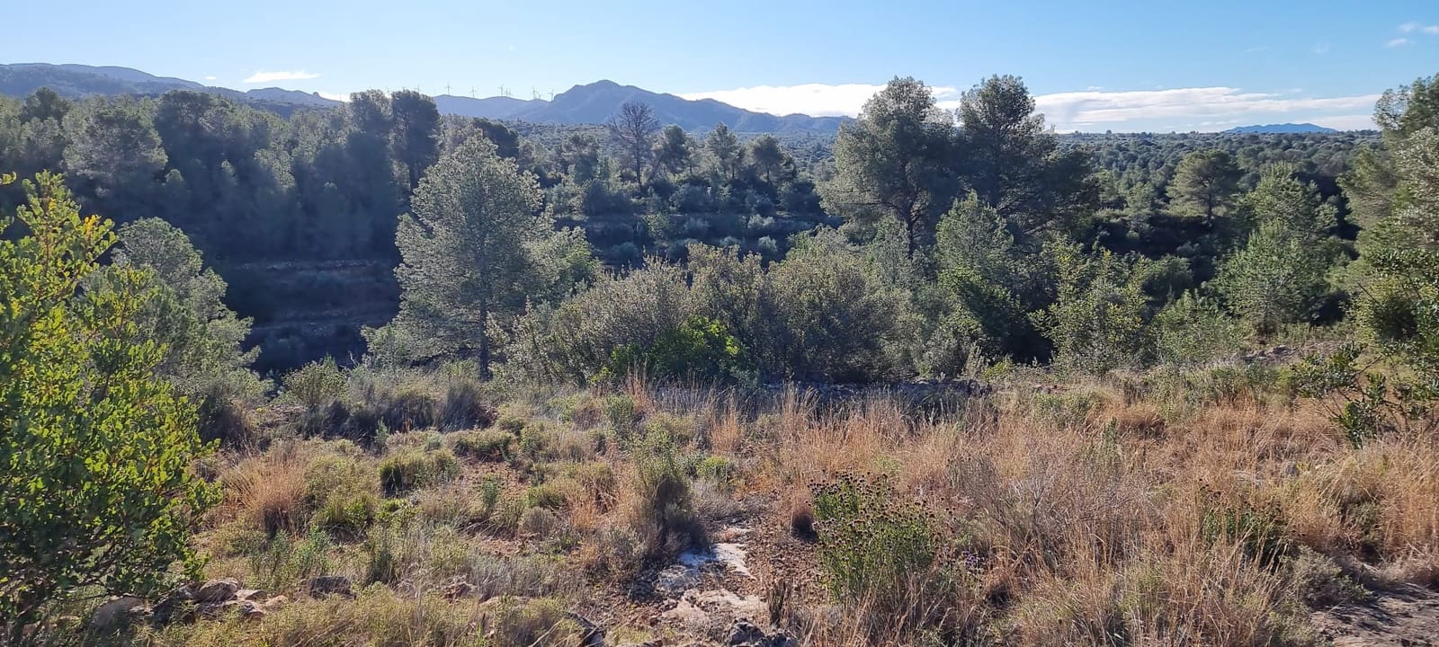 Finca/Maison de Campagne à vendre à Tivenys - 18 000 € (Ref: 9578198)