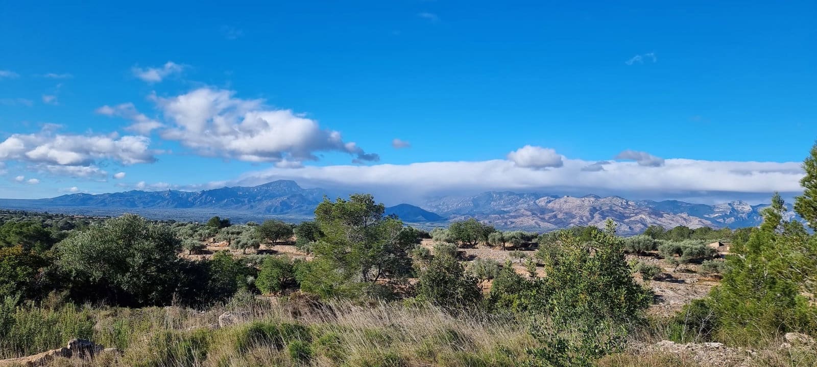 Finca/Landhuis te koop in Tivenys - € 18.000 (Ref: 9578198)