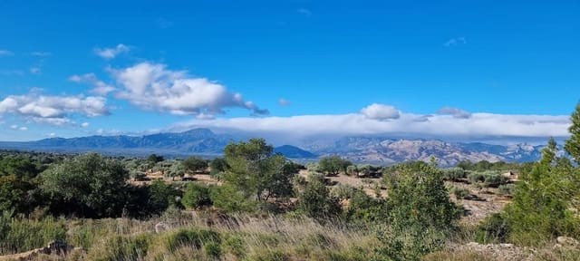 Finca/Herregård til salgs i Tivenys - € 18 000 (Ref: 9578198)
