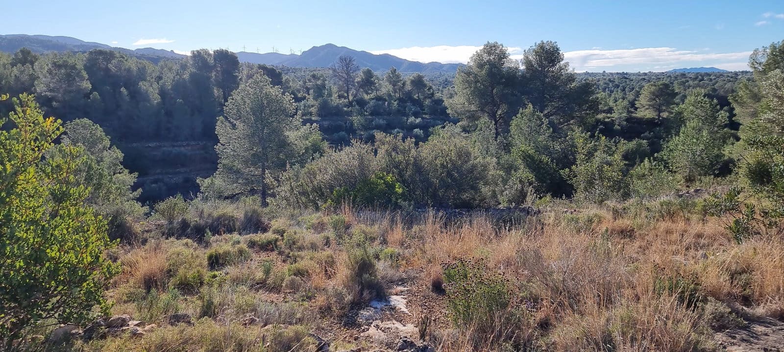 Finca/Landhuis te koop in Tivenys - € 18.000 (Ref: 9578198)