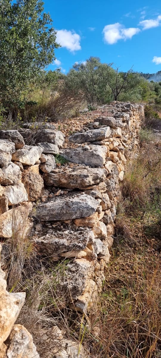 Finca/Landhuis te koop in Tivenys - € 16.000 (Ref: 9578199)