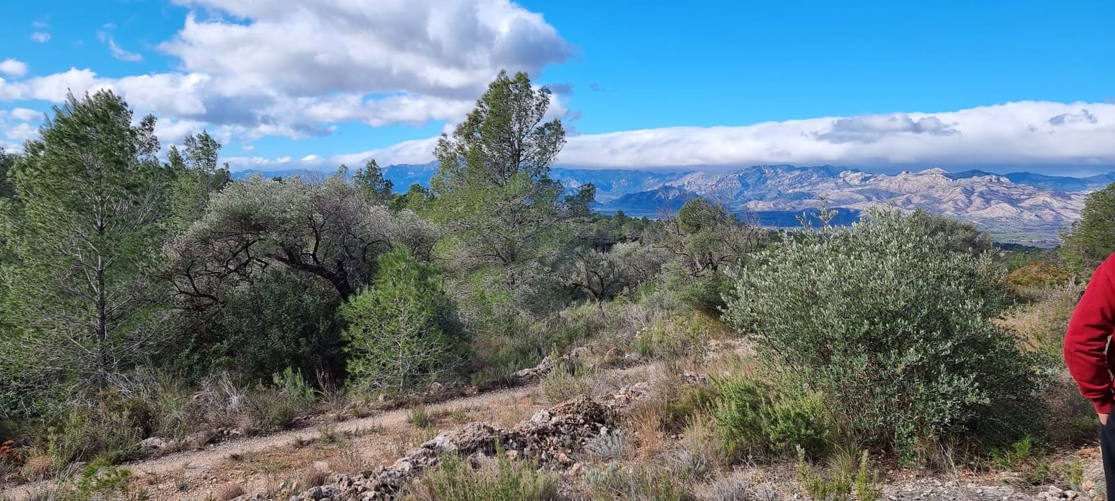 Finca/Landhuis te koop in Tivenys - € 16.000 (Ref: 9578199)