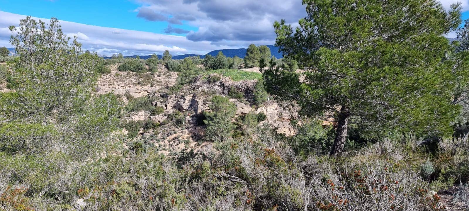 2 slaapkamer Finca/Landhuis te koop in Tivenys - € 38.000 (Ref: 9578200)